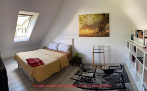 Chambre chez l'habitant 